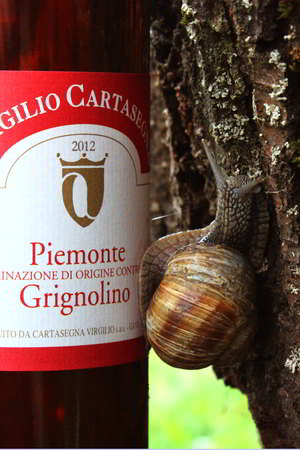 Piemonte Grignolino DOC - slowine