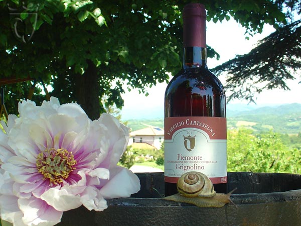 Piemonte Grinolino DOC Cartasegna