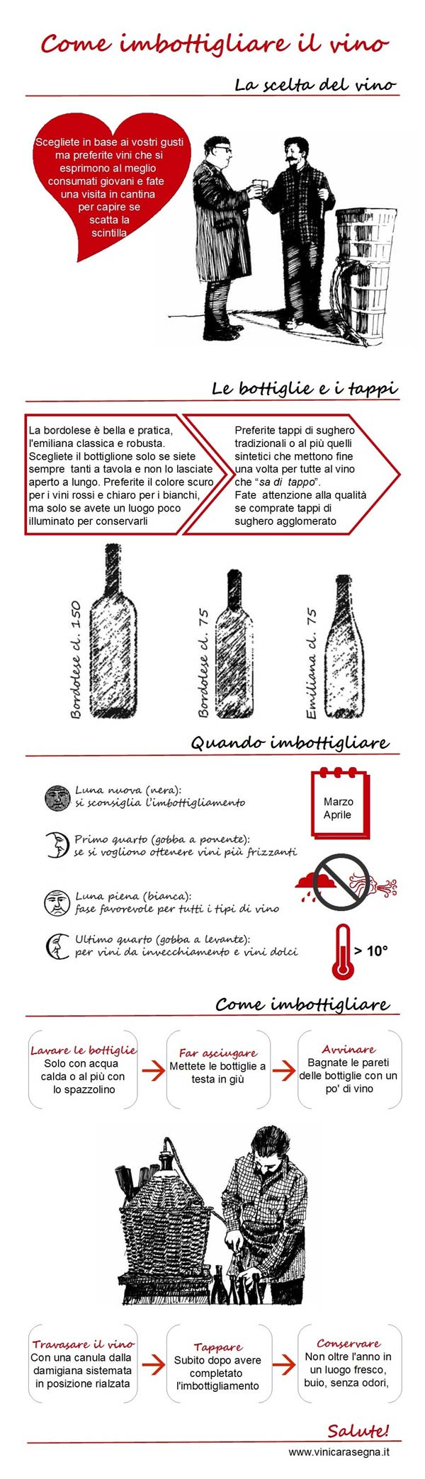 Infografica: come imbottigliare il vino