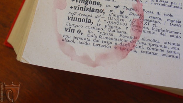 Glosario delle Caratteristiche del Vino