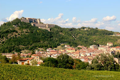 Guida Gavi e dintorni: tra vigneti e antichi castelli