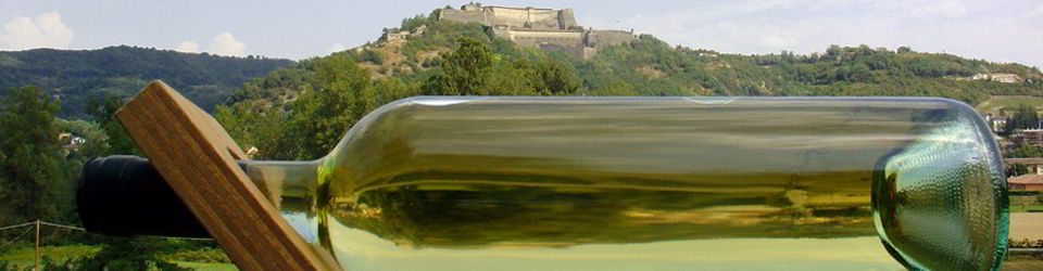 VINI GAVI CANTINA CARTASEGNA