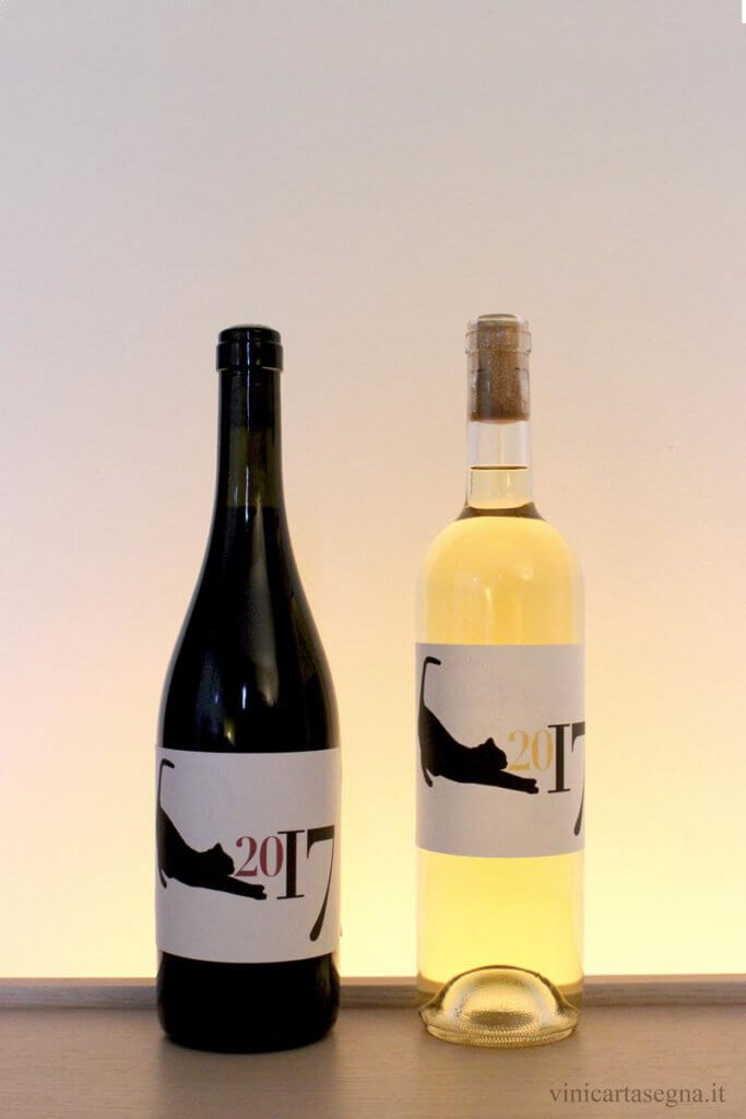 Etichette-stampabili-per-bottiglie-di-vino-gatto17-