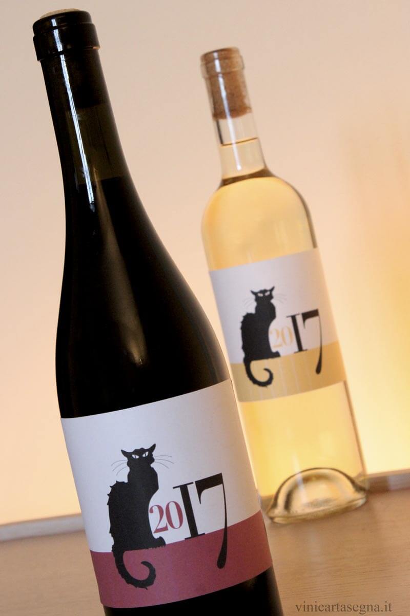 Sollbry 200 etichette per bottiglie di vino, etichette per cantina