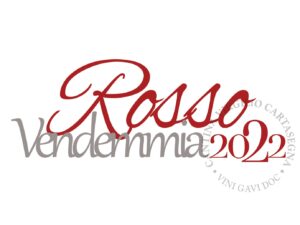Etichetta per bottiglie di vino. Proporzioni larghezza/altezza 4/3. Sfondo bianco e scritta in corsivo di colore rosso e grigio "Bianco - Vendemmia 2022". Logo Cantina Cartasegna